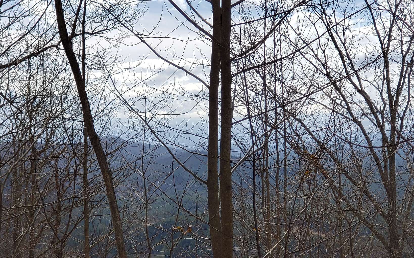 5 Acres of Land for Sale in Copperhill, Tennessee