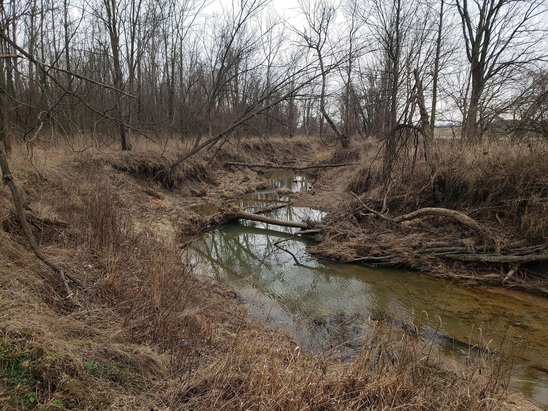 43 Acres of Recreational Land for Sale in Cory, Indiana