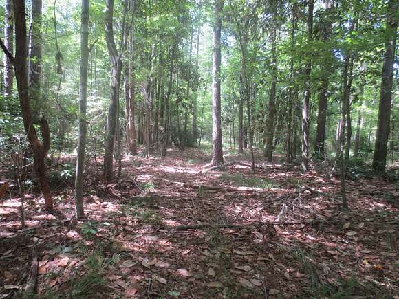 100 Acres of Recreational Land for Sale in Columbia, Mississippi