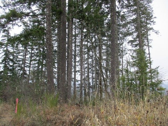 40 Acres of Land for Sale in Sheridan, Oregon