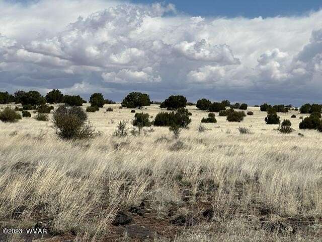 3.87 Acres of Residential Land for Sale in Concho, Arizona