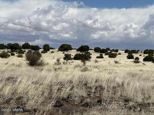 3.87 Acres of Residential Land for Sale in Concho, Arizona