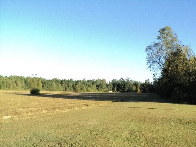 15.4 Acres of Land for Sale in Independence, Louisiana