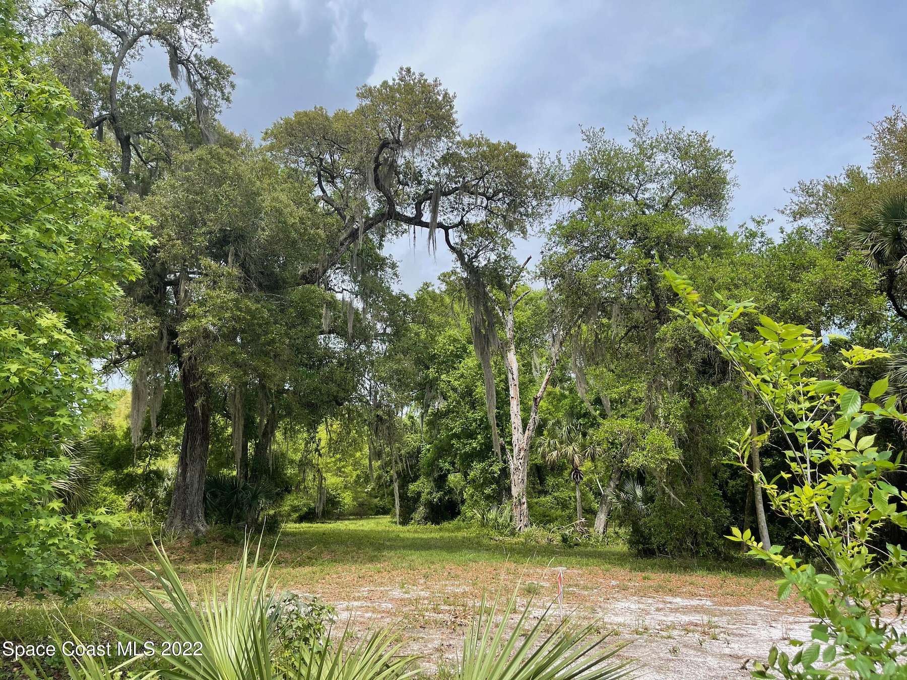 5 Acres of Residential Land for Sale in Mims, Florida