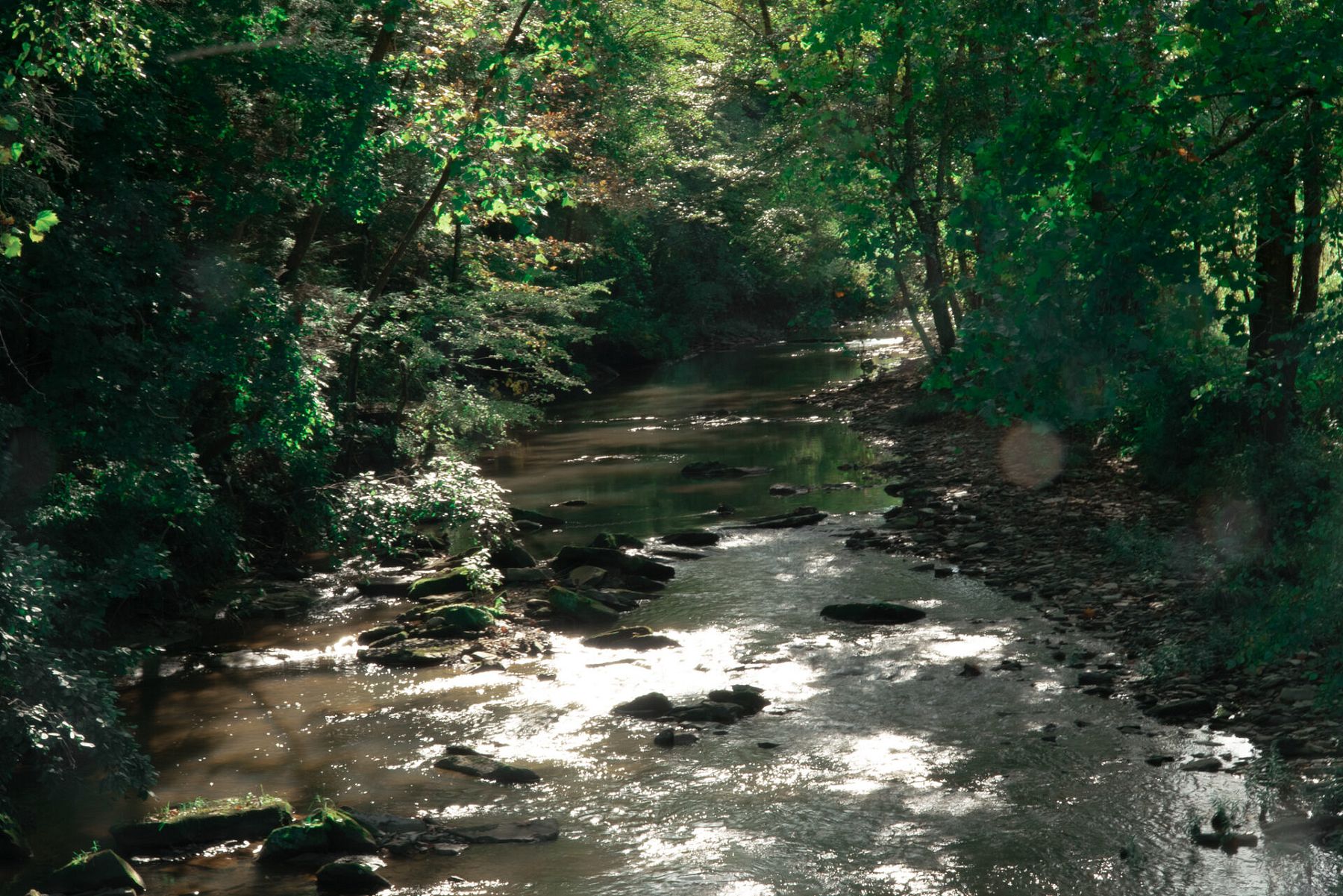 11.6 Acres of Recreational Land for Sale in Maulden, Kentucky LandSearch