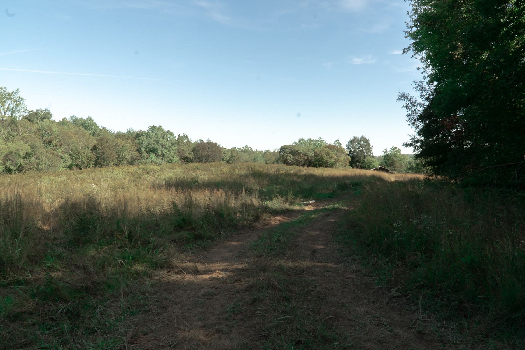 11.6 Acres of Recreational Land for Sale in Maulden, Kentucky LandSearch