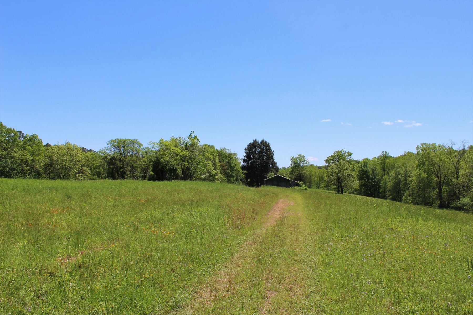 11.6 Acres of Recreational Land for Sale in Maulden, Kentucky LandSearch