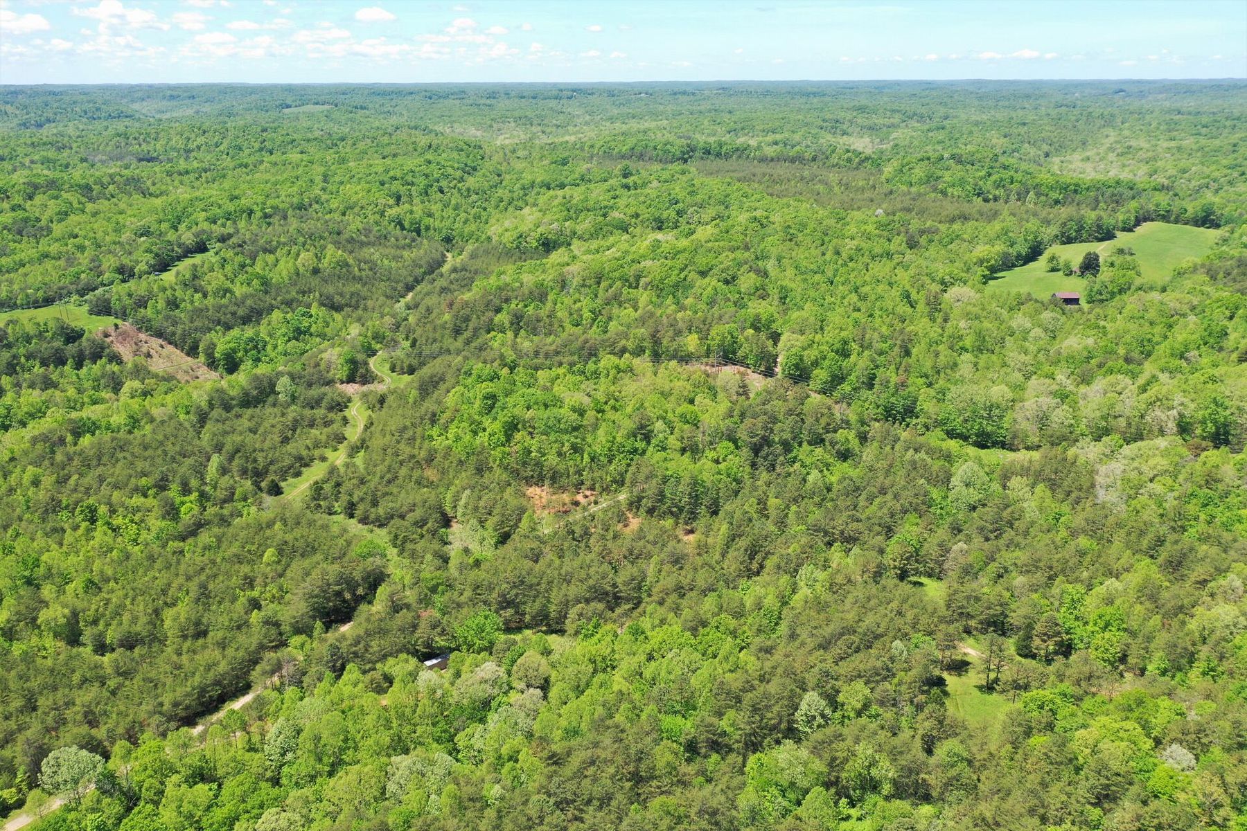 11.6 Acres of Recreational Land for Sale in Maulden, Kentucky LandSearch