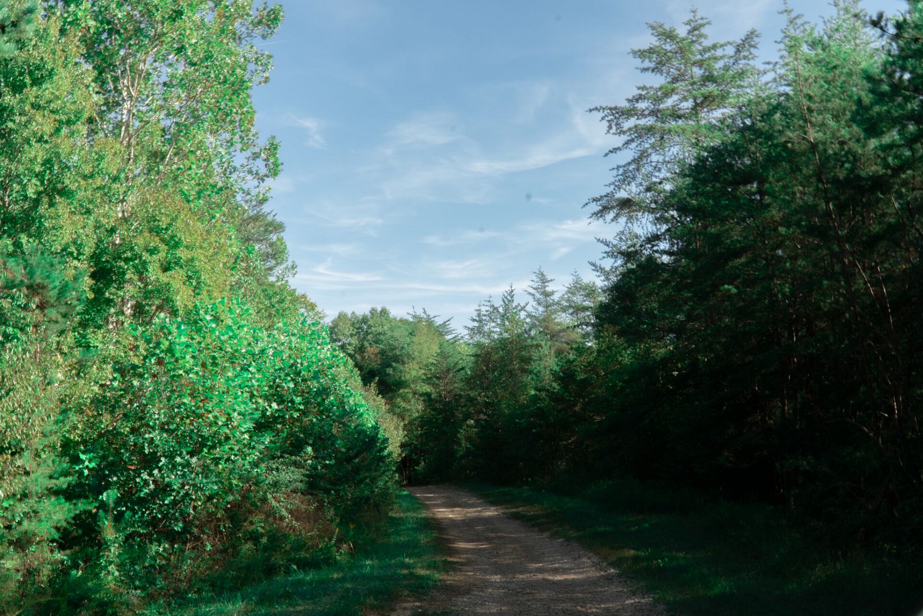 11.6 Acres of Recreational Land for Sale in Maulden, Kentucky LandSearch