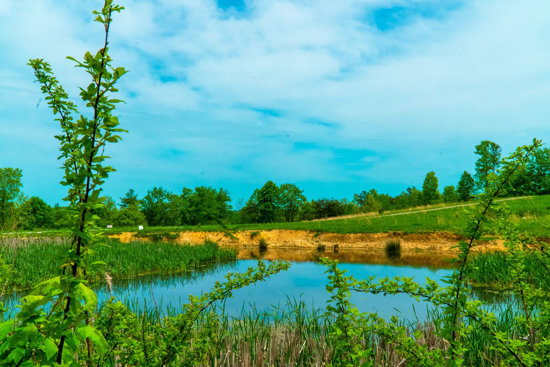 6.1 Acres of Land for Sale in Annville, Kentucky LandSearch