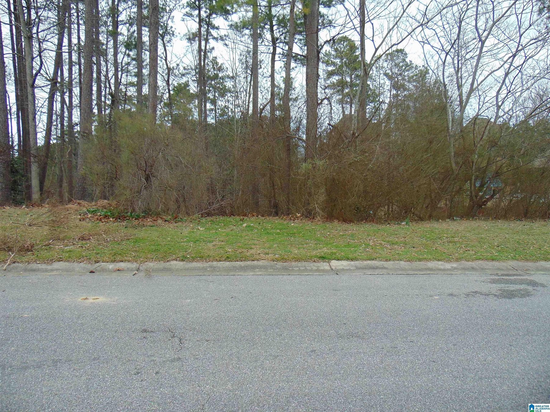 0.39 Acres of Land for Sale in Alabaster, Alabama