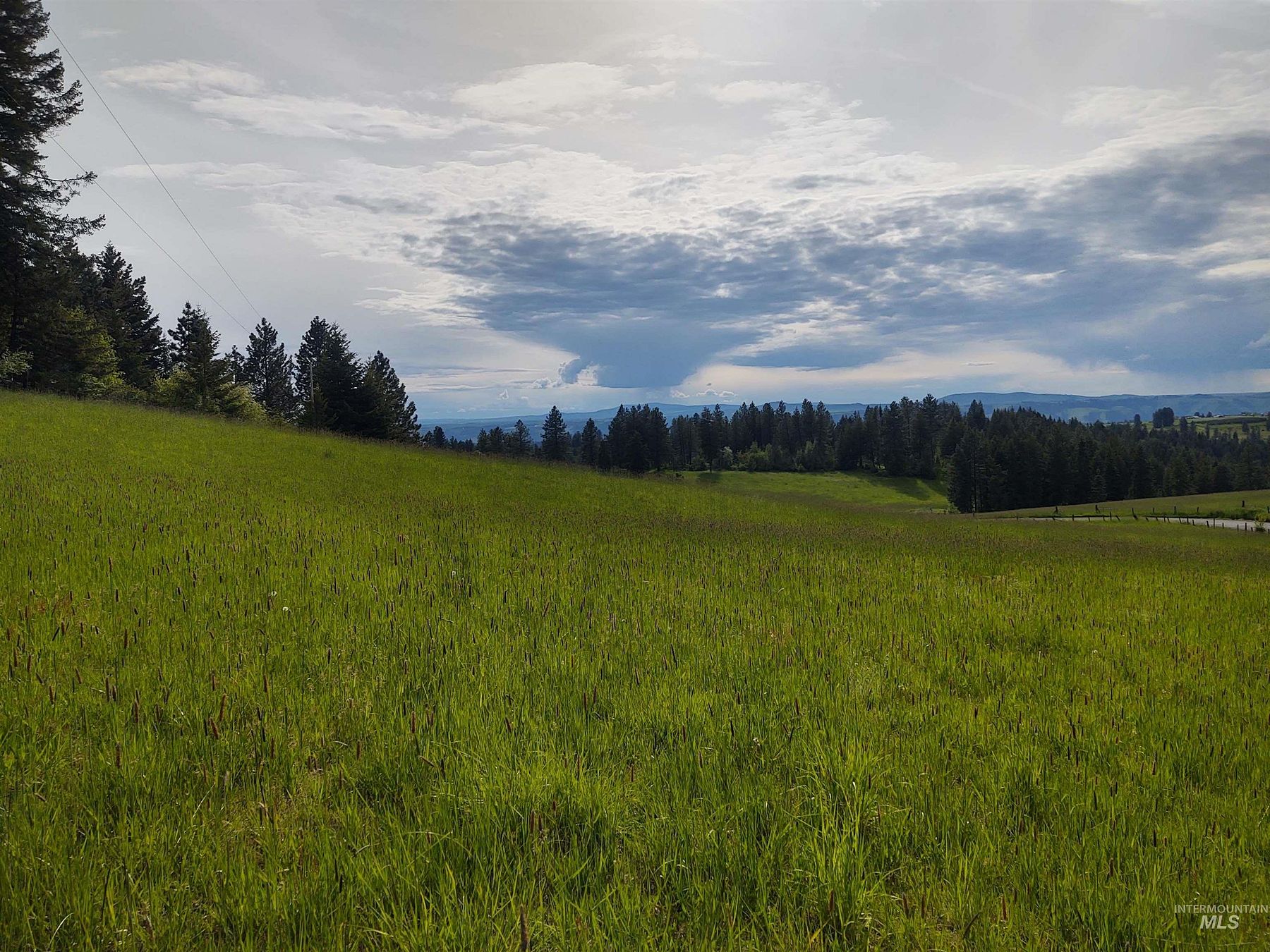 8.9 Acres of Land for Sale in Kooskia, Idaho