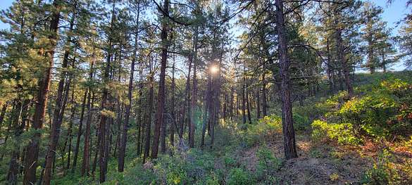 35 Acres of Recreational Land & Farm for Sale in Bayfield, Colorado