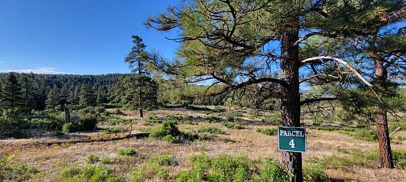 35 Acres of Recreational Land & Farm for Sale in Bayfield, Colorado