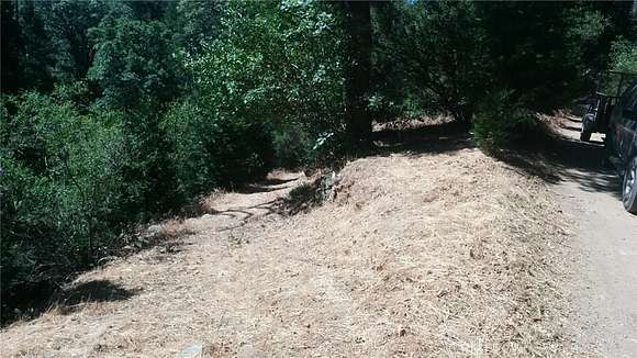 0.08 Acres of Land for Sale in Cedarpines Park, California