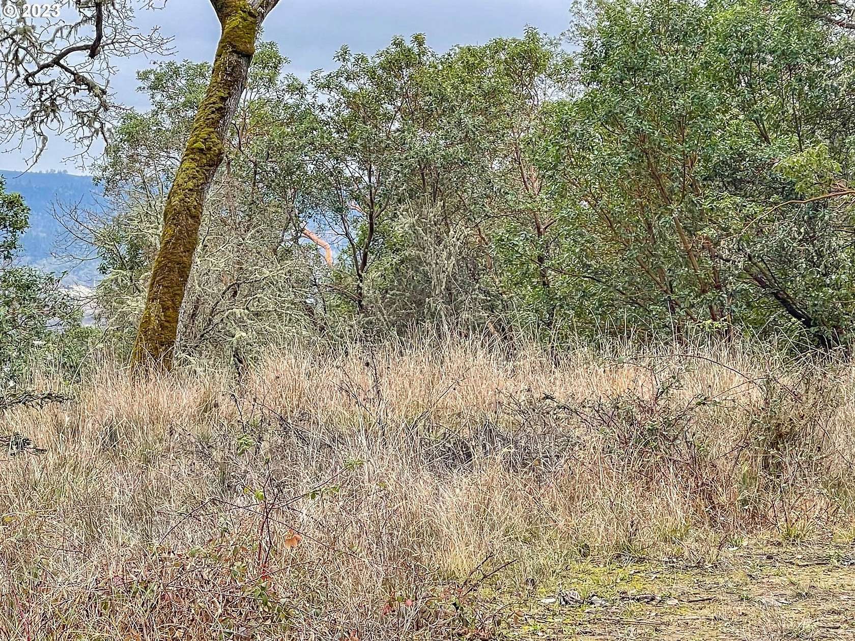 2 Acres of Residential Land for Sale in Roseburg, Oregon