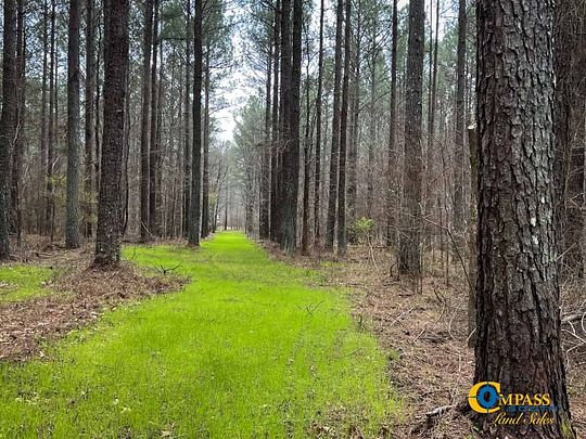 298 Acres of Land for Sale in Athens, Georgia