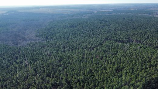 256 Acres of Land for Sale in Athens, Georgia