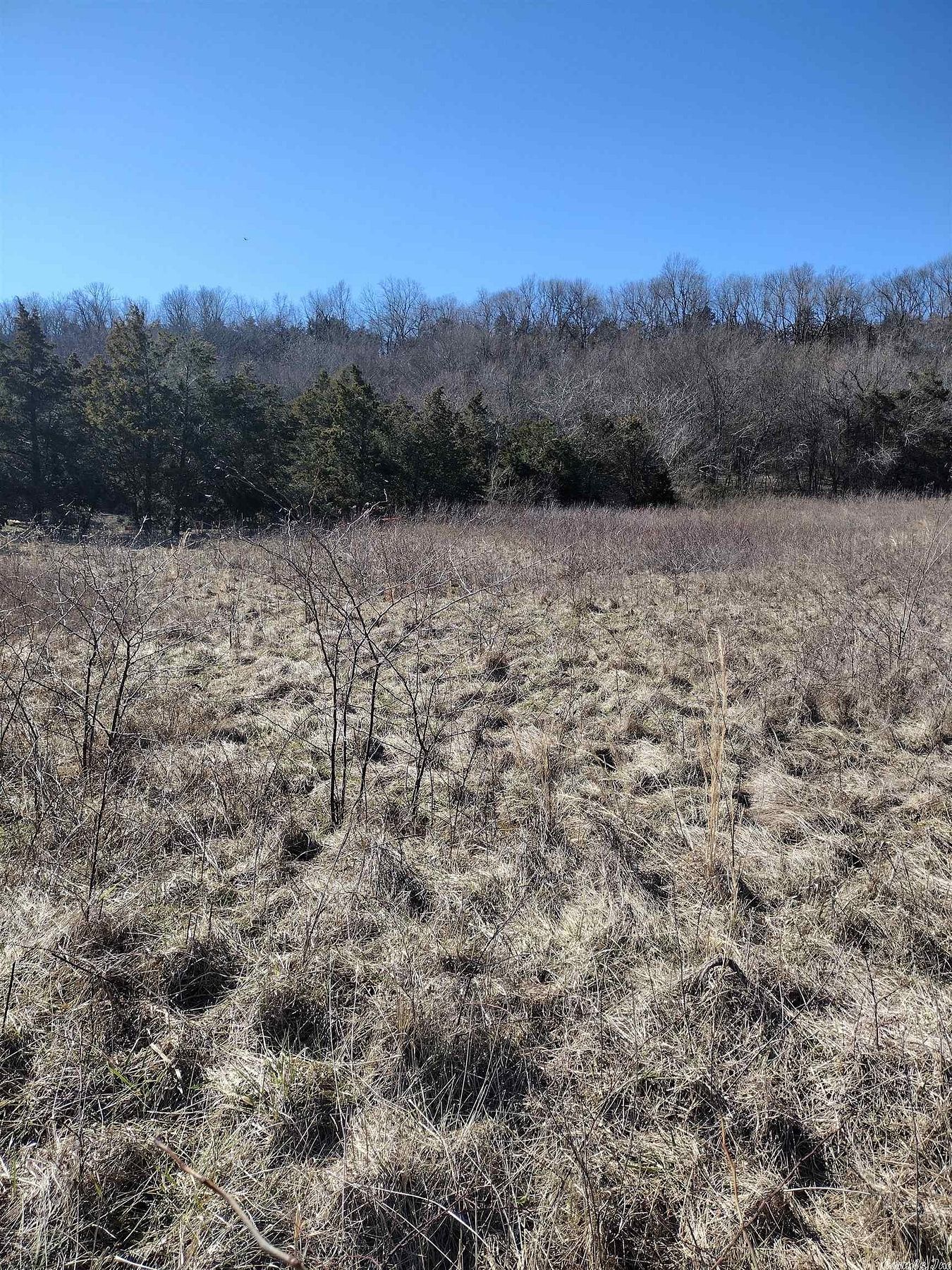 3.2 Acres of Residential Land for Sale in Mountain View, Arkansas