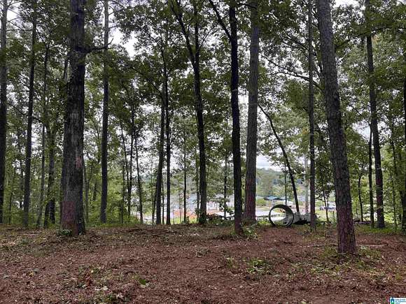 0.78 Acres of Residential Land for Sale in Alpine, Alabama