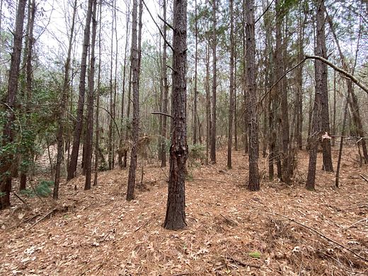 27.9 Acres of Recreational Land & Farm for Sale in Hallsville, Texas