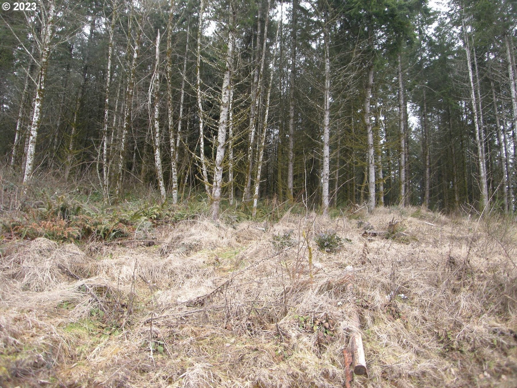20.6 Acres of Land for Sale in Rainier, Oregon