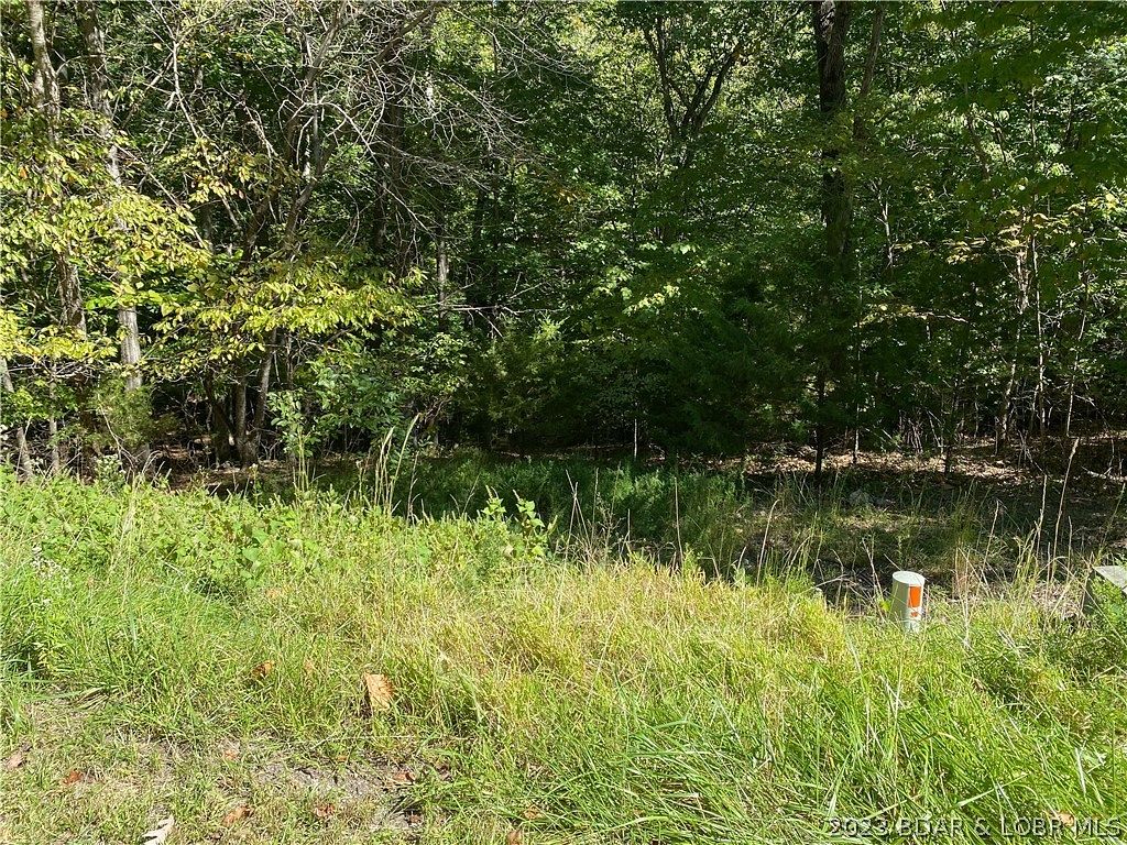 1 Acre of Residential Land for Sale in Sunrise Beach, Missouri
