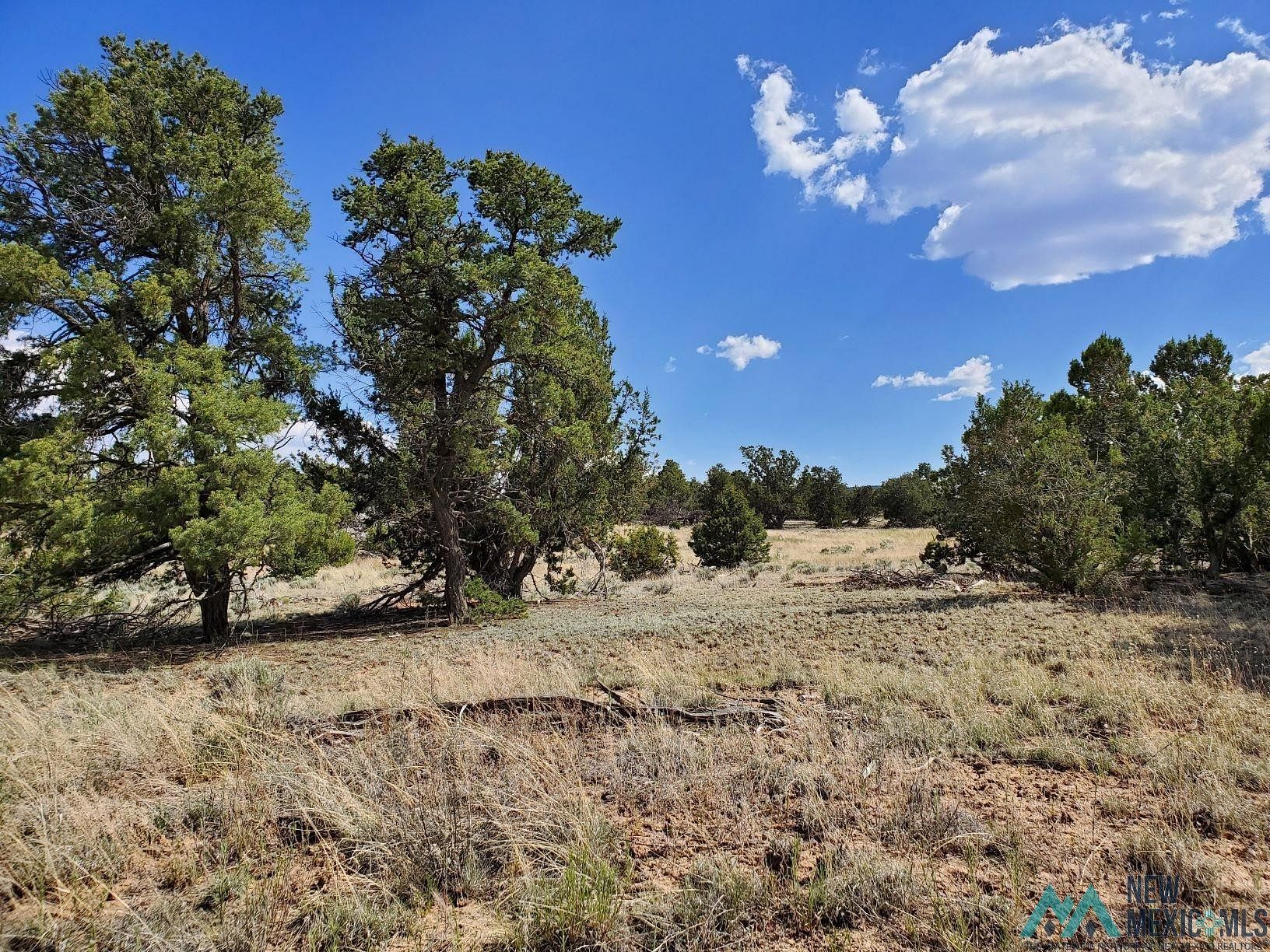 36.7 Acres of Land for Sale in Pie Town, New Mexico