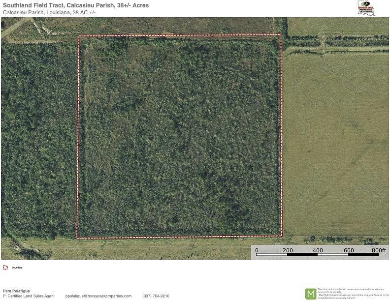 38 Acres of Recreational Land for Sale in Sulphur, Louisiana