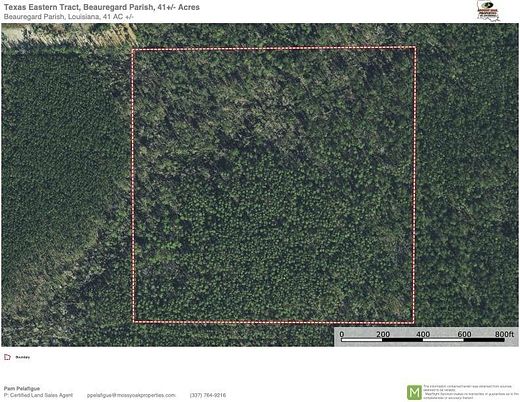 41 Acres of Recreational Land for Sale in Ragley, Louisiana