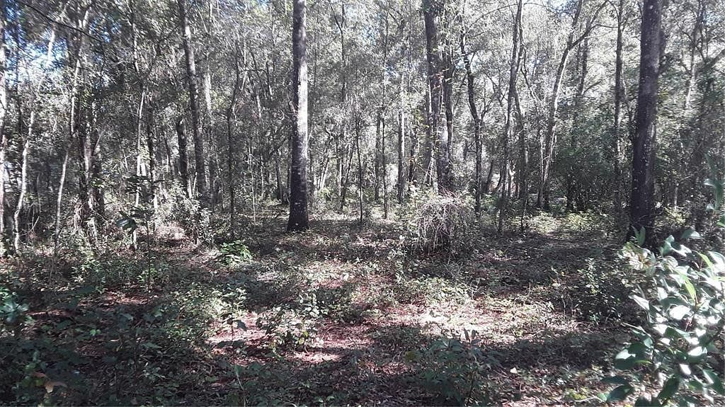 0.09 Acres of Residential Land for Sale in Silver Springs, Florida