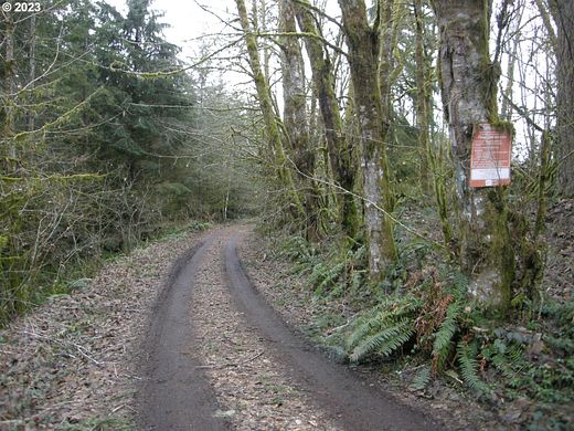 15.2 Acres of Land for Sale in Deer Island, Oregon