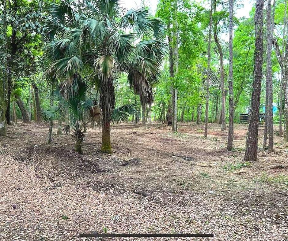 1 Acre of Residential Land for Sale in Apalachicola, Florida