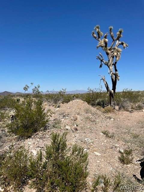40 Acres of Agricultural Land for Sale in White Hills, Arizona