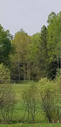 38 Acres of Recreational Land for Sale in Newberry, Michigan