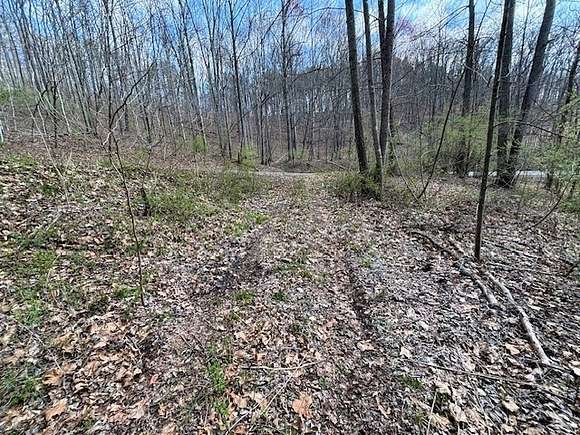 44 Acres of Recreational Land for Sale in Spencer, West Virginia