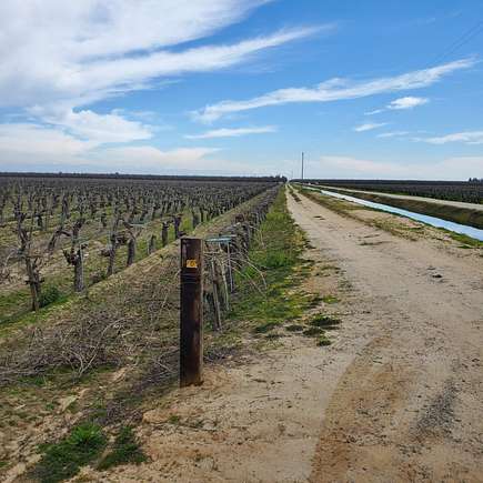 53 Acres of Agricultural Land with Home for Sale in Madera, California
