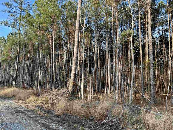3.1 Acres of Land for Sale in Vanceboro, North Carolina