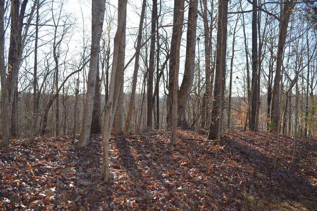 0.35 Acres of Land for Sale in Westminster, South Carolina