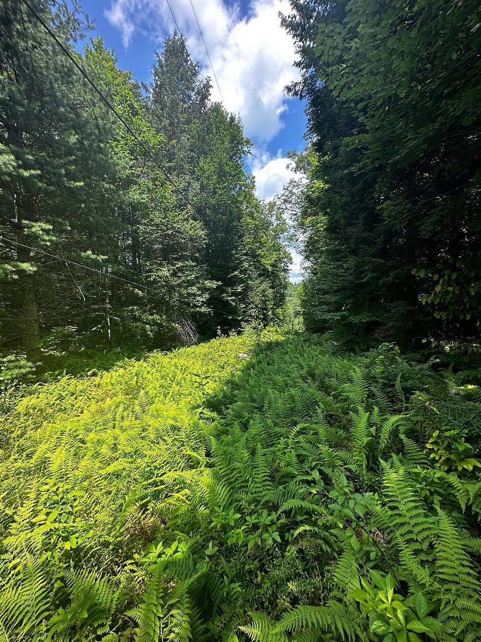 6 Acres of Residential Land for Sale in Marlboro, Vermont