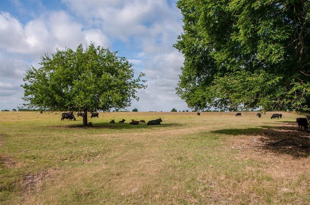 3 Acres of Residential Land for Sale in Waxahachie, Texas