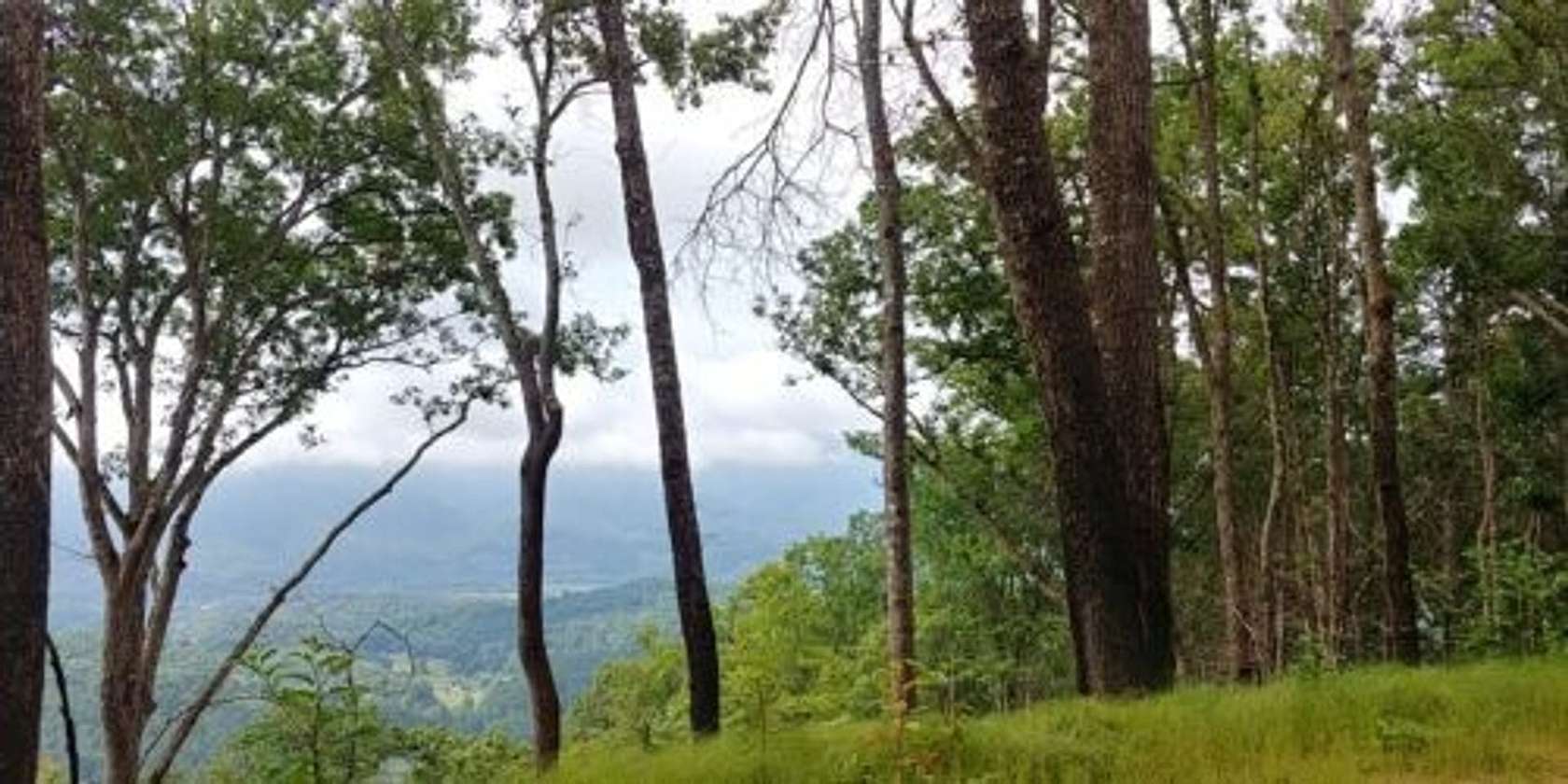 5.5 Acres of Land for Sale in Bryson City, North Carolina