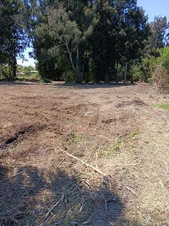 1 Acre of Land for Sale in Malabar, Florida