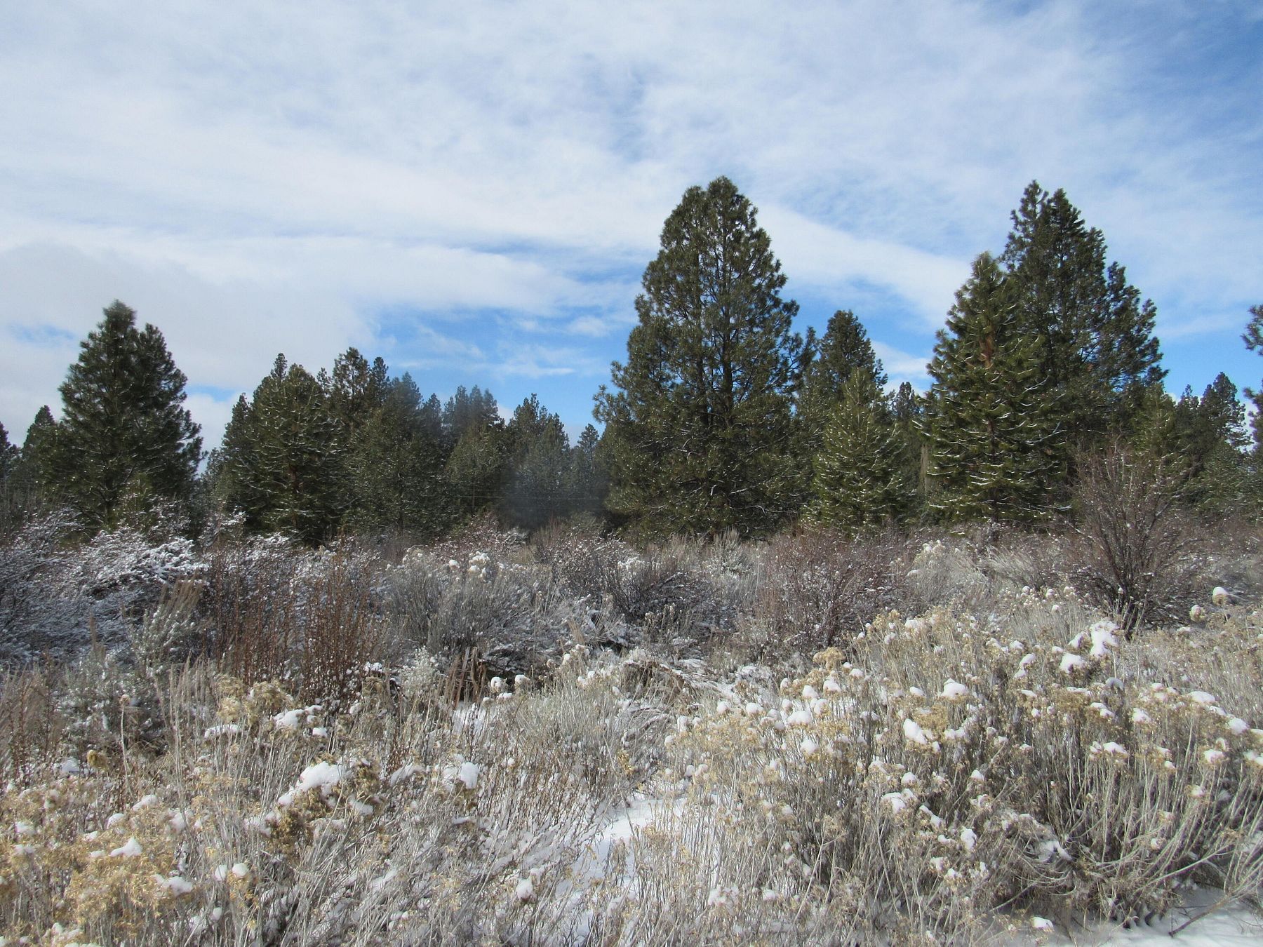 0.47 Acres of Residential Land for Sale in Chiloquin, Oregon