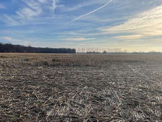 41.5 Acres of Agricultural Land for Sale in San Pierre, Indiana