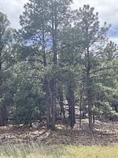0.44 Acres of Residential Land for Sale in Pecos, New Mexico