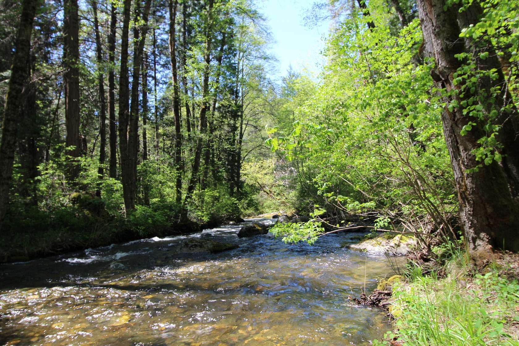 77.1 Acres of Land with Home for Sale in Jacksonville, Oregon