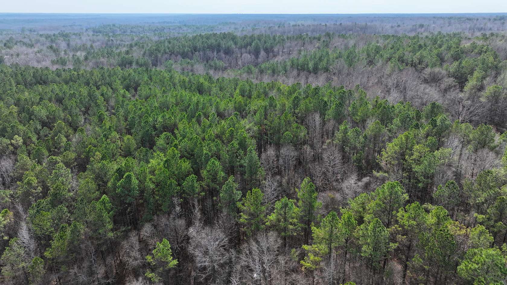 78 Acres of Recreational Land for Sale in Sulligent, Alabama