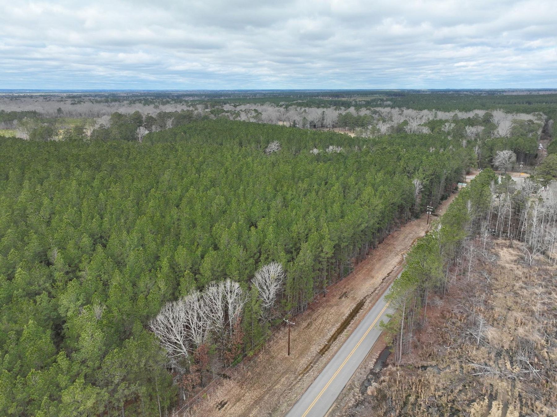 31.8 Acres of Recreational Land for Sale in Nebo, Louisiana