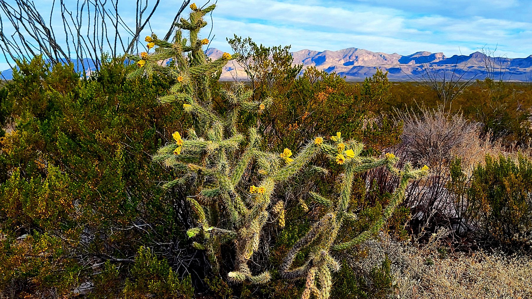 10 Acres of Residential Land for Sale in Presidio, Texas LandSearch